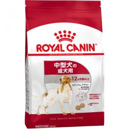 ミディアム アダルト